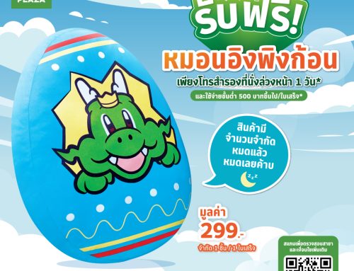 รับฟรี!! หมอนอิงพิงก้อน 1 ชิ้น* เพียงโทรสำรองที่นั่งล่วงหน้า 1 วัน